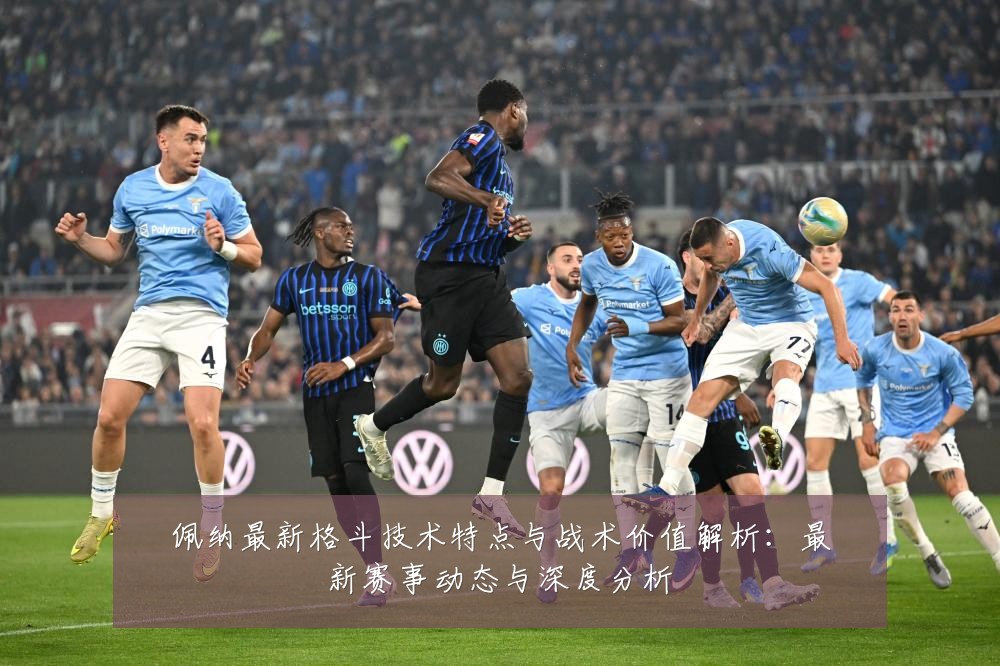 佩纳最新格斗技术特点与战术价值解析：最新赛事动态与深度分析