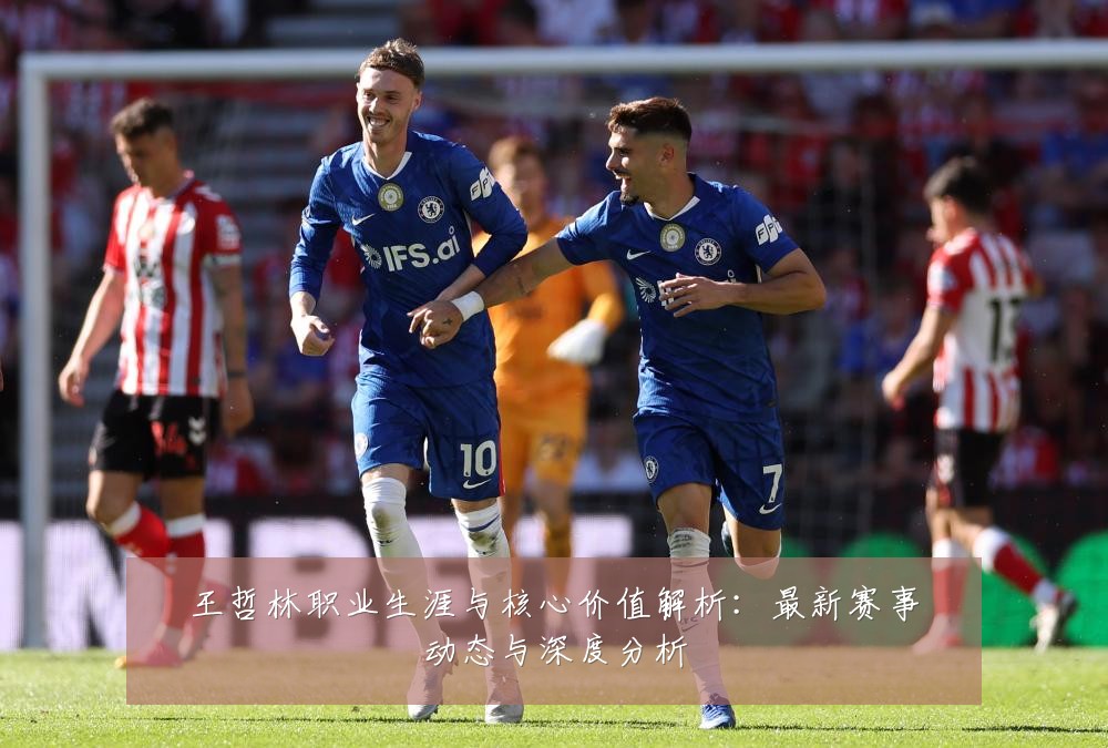 王哲林职业生涯与核心价值解析：最新赛事动态与深度分析